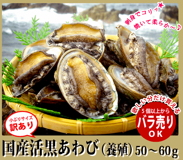 新年は国産黒アワビをご挨拶に贈る 年賀ギフトお歳暮の価格とおすすめを調査
